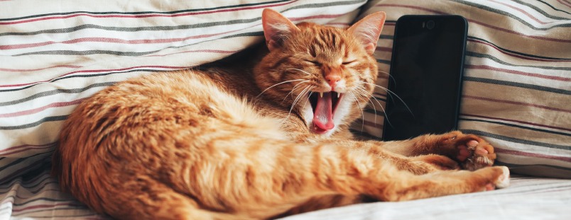 Prêtez attention aux signes de fatigue